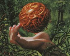 Wooden Sphere