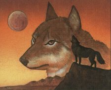 Wyluli Wolf