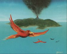 Birds of Paradise