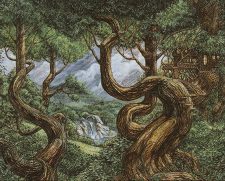 Forest