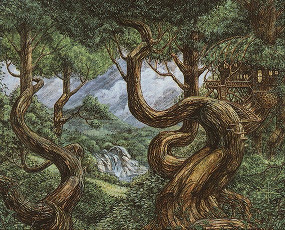 Forest
