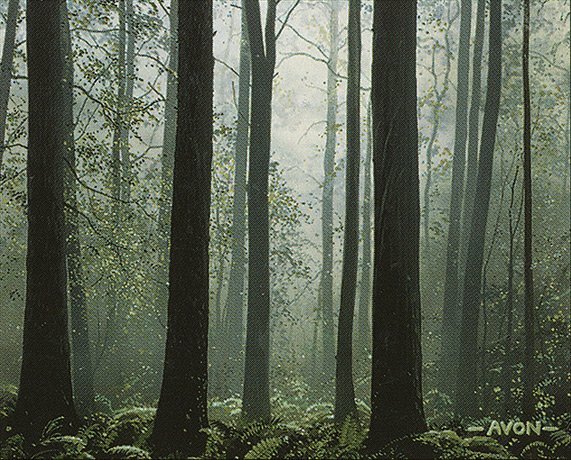 Forest
