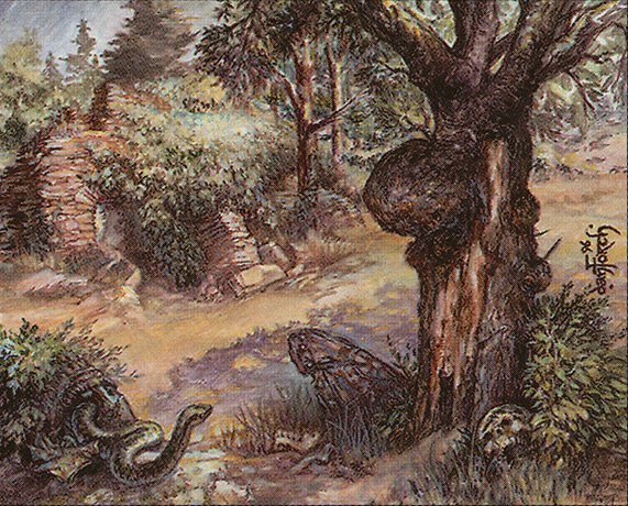 Havenwood Battleground