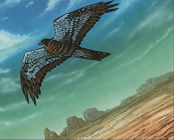 Mesa Falcon