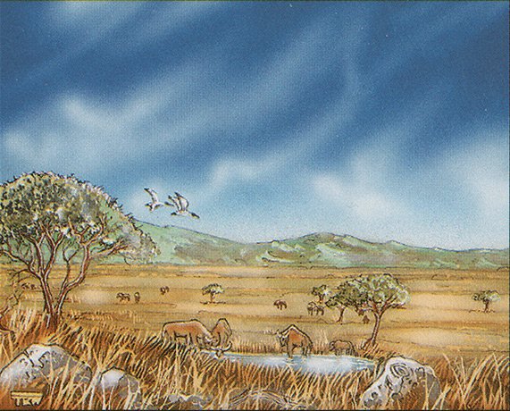 Plains