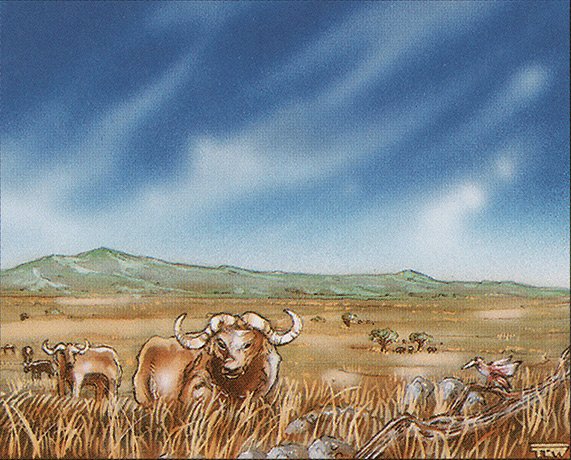 Plains