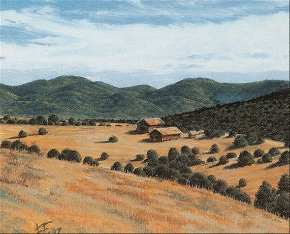 Plains