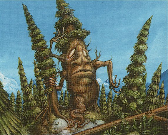 Redwood Treefolk