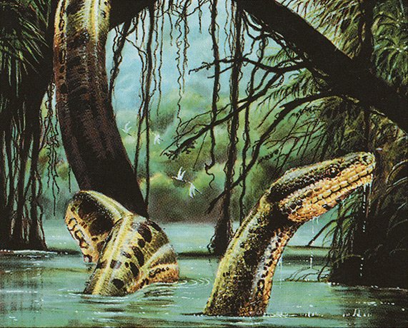 River Boa