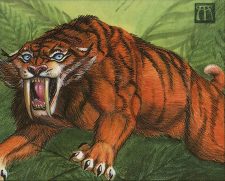 Sabretooth Tiger