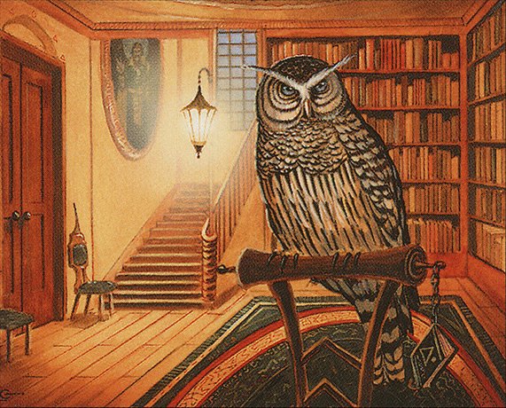 Sage Owl