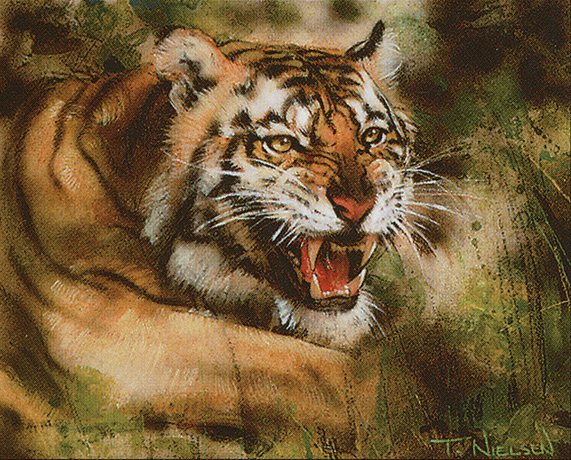 Stalking Tiger