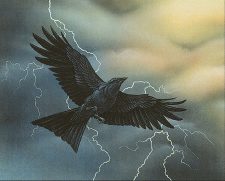 Storm Crow