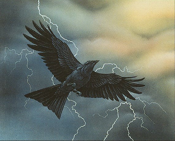 Storm Crow