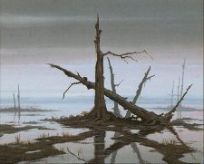 Swamp