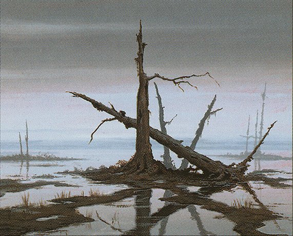 Swamp