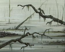Swamp