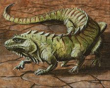 Thicket Basilisk