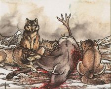 Tundra Wolves
