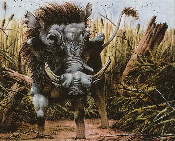 Warthog