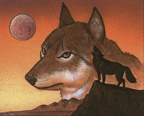 Wyluli Wolf