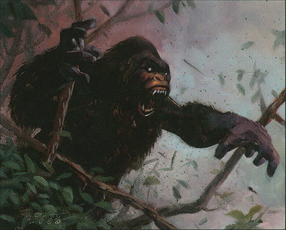 Ancient Silverback