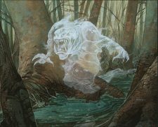 Bog Wraith