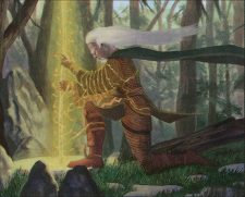 Elder Druid