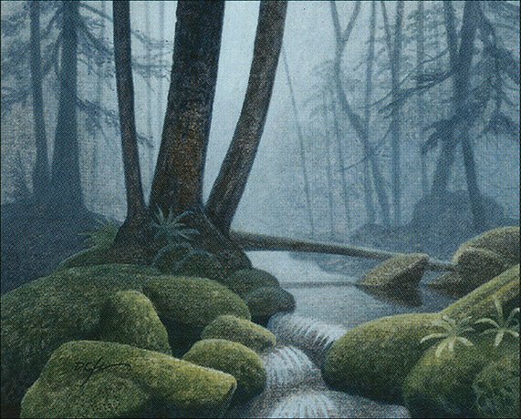 Forest