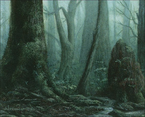 Forest