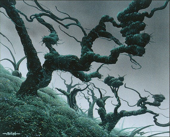 Forest