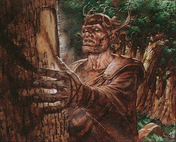Fyndhorn Elder