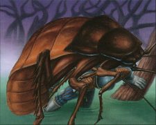 Giant Cockroach