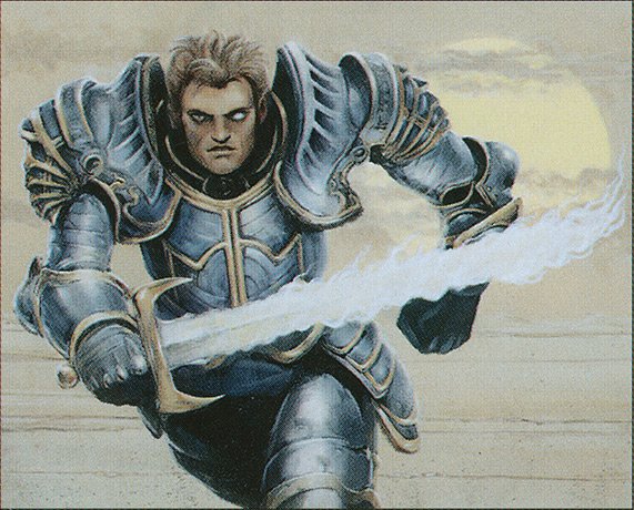 Northern Paladin