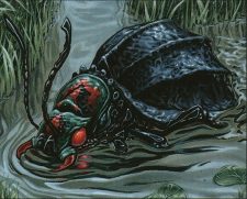 Plague Beetle