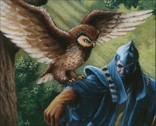 Sage Owl