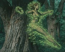 Shanodin Dryads