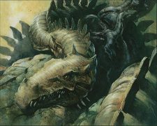 Spined Wurm