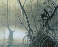 Swamp