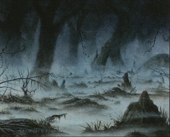 Swamp