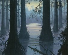 Swamp