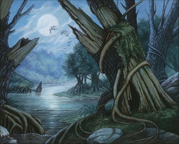 Swamp