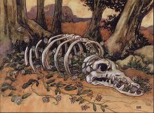Fecundity