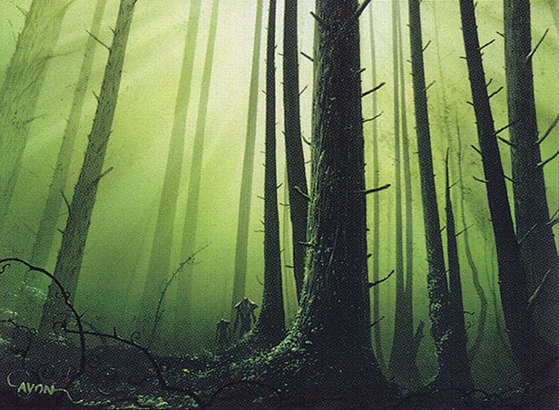 Forest