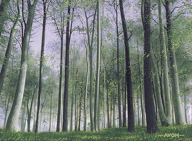 Forest