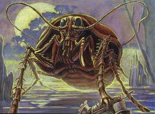 Giant Cockroach