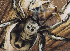 Giant Spider