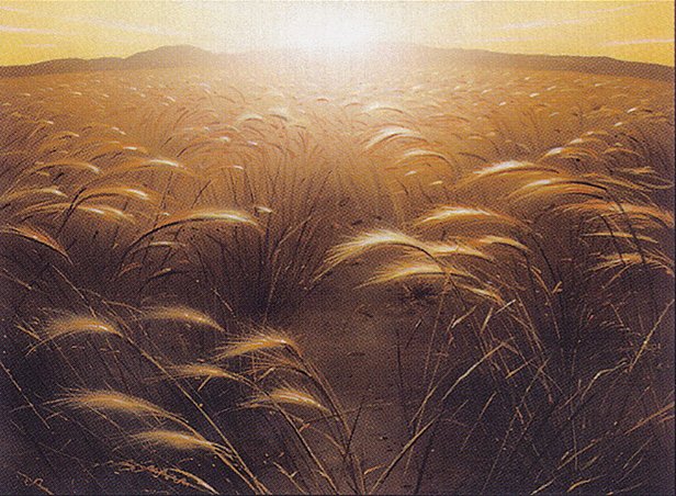 Plains
