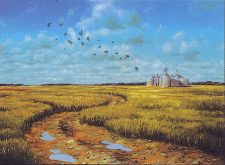 Plains