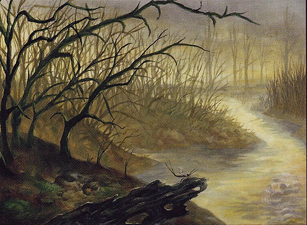 Salt Marsh